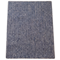 Shaggy Blue